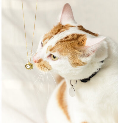 Gegraveerde sieraden Necklace with Paw Print and Name Charm