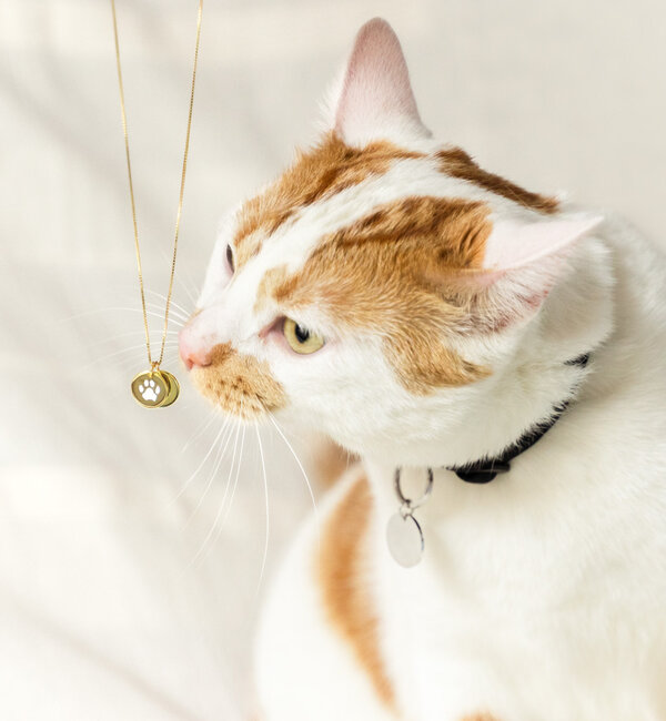 Gegraveerde sieraden Necklace with Paw Print and Name Charm