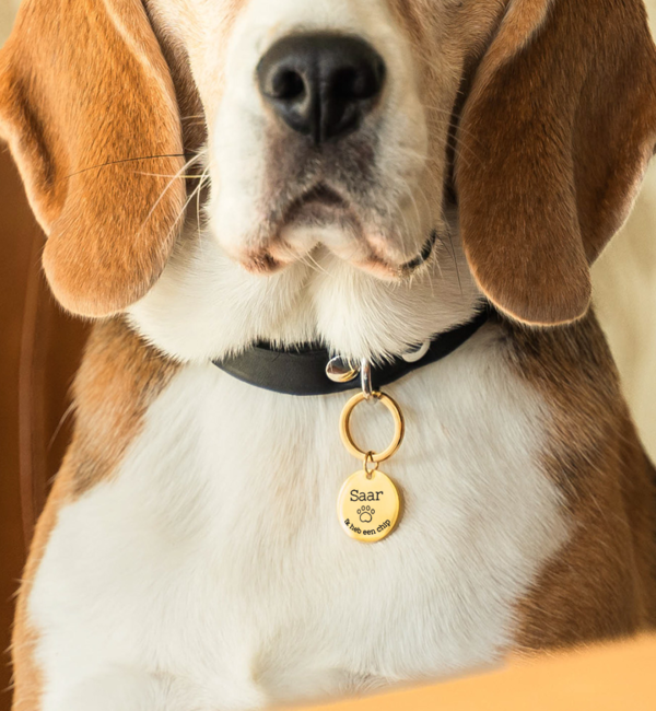 KAYA sieraden Dog Tag with Name 'I have a chip' | Choose your Symbol