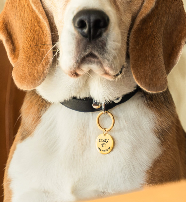 KAYA sieraden Dog Tag with Name and Phone Number | Choose your Symbol