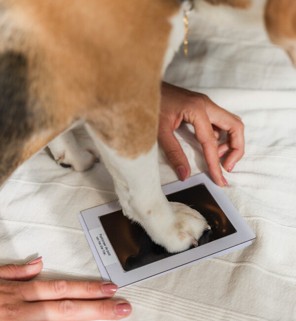 KAYA sieraden Ink pad for paw print