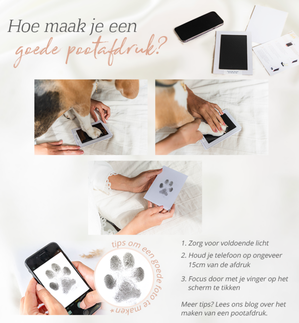 Gegraveerde sieraden Necklace with Paw Print