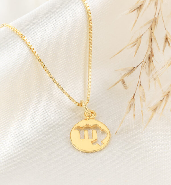 KAYA sieraden Zodiac charm