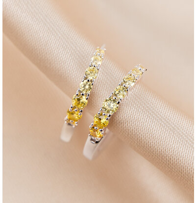 KAYA sieraden Creolen Birthstone - November