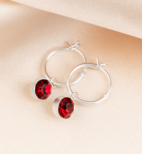 KAYA sieraden Birthstone Earrings 'January'