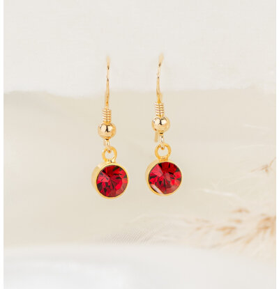 KAYA sieraden Earrings Birthstone 'January'