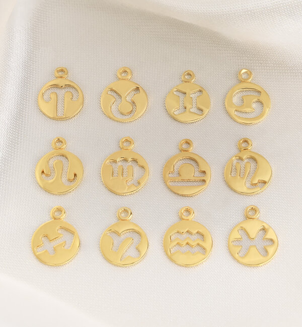 KAYA sieraden Zodiac charm