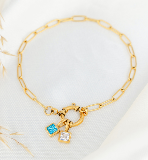 KAYA sieraden Two Birthstone Link Bracelet | Stainless Steel