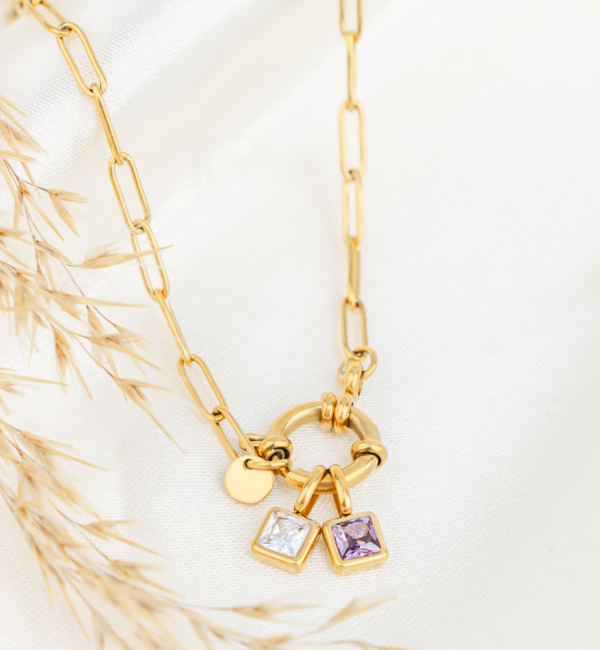 KAYA sieraden Schakelketting met Twee Geboortesteen | Stainless Steel