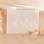 KAYA sieraden Statement Studs Shell I Stainless Steel