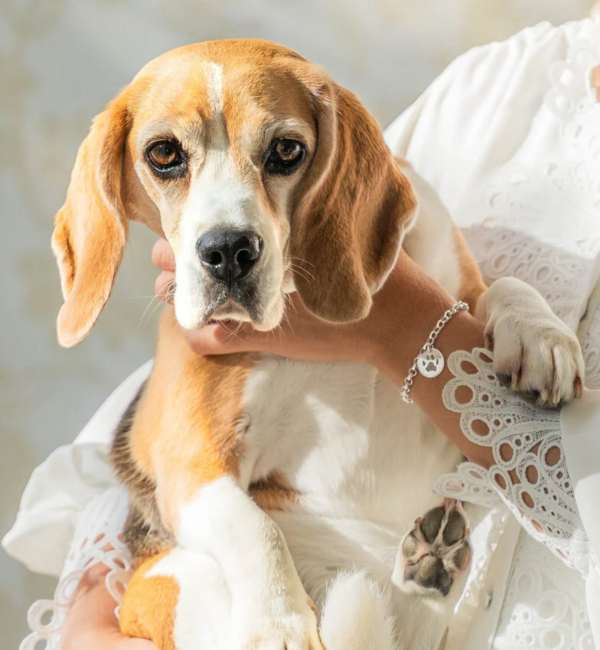 Gegraveerde sieraden Bracelet with Paw Print