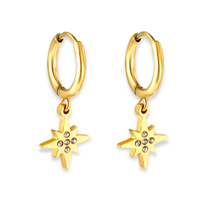 KAYA sieraden Oorringen Ster met Kristallen |  Stainless Steel