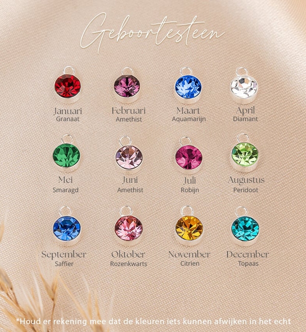 KAYA sieraden Birthstone with Birth Flower Necklace I February