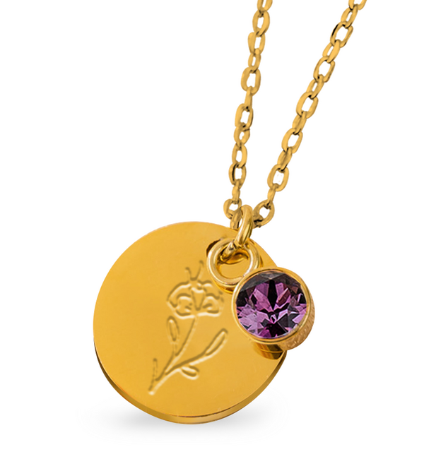 KAYA sieraden Geboortesteen met Geboortebloem Ketting I Februari