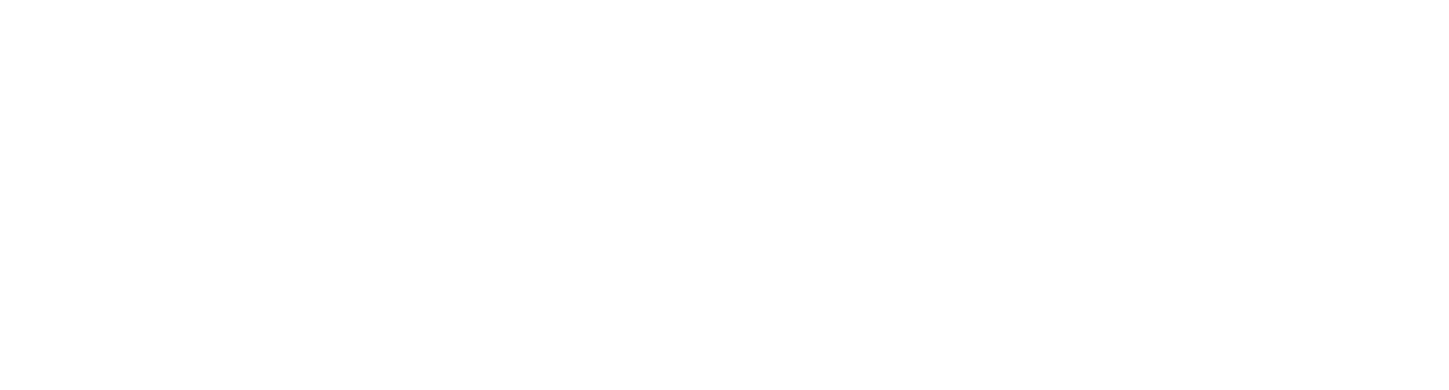 Teamsoft Premium Support Logo