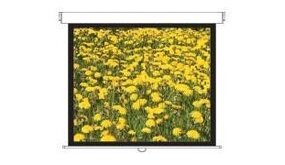 Optoma Optoma DS-3120PMG+ Optoma Optoma DS-3120PMG+