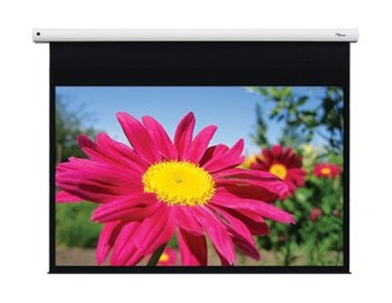 Optoma Optoma DE-1109EGA projectiescherm Optoma Optoma DE-1109EGA projectiescherm