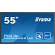 iiyama iiyama Prolite TH5565MIS-B1AG touchscreen iiyama iiyama Prolite TH5565MIS-B1AG touchscreen