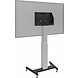 iiyama Iilyama MD 062B7295 vloerlift iiyama Iilyama MD 062B7295 vloerlift
