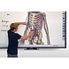 i3 Technologies i3Board 8705 T20 87 inch i3 Technologies i3Board 8705 T20 87 inch