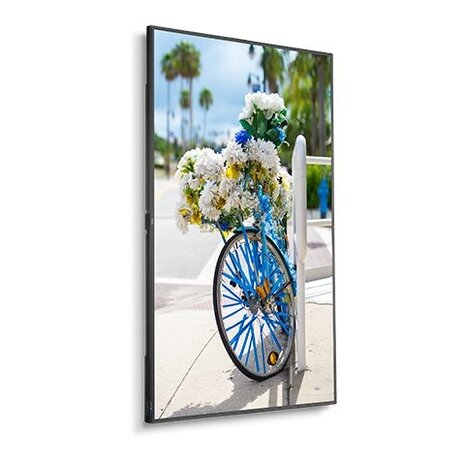 NEC NEC MultiSync C431