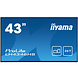 iiyama Iiyama 43" Full HD LED scherm iiyama Iiyama 43" Full HD LED scherm