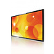 Philips Philips 65BDL3050Q/00 Q-line 4K UHD display Philips Philips 65BDL3050Q/00 Q-line 4K UHD display