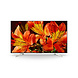 Sony Sony 49" Bravia 4K HDR professional display Sony Sony 49" Bravia 4K HDR professional display