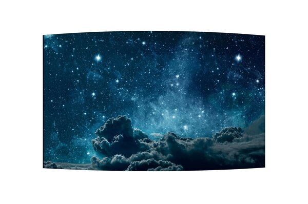 LG LG 55EF5G-L 55 Gebogen OLED-signalisatie