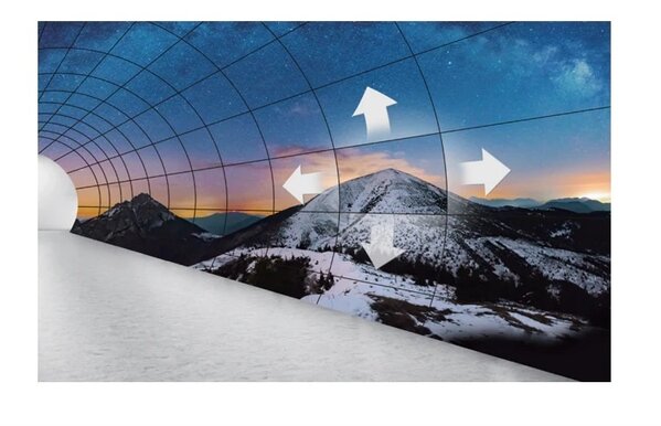 LG LG 55EF5G-L 55 Gebogen OLED-signalisatie LG LG 55EF5G-L 55 Gebogen OLED-signalisatie