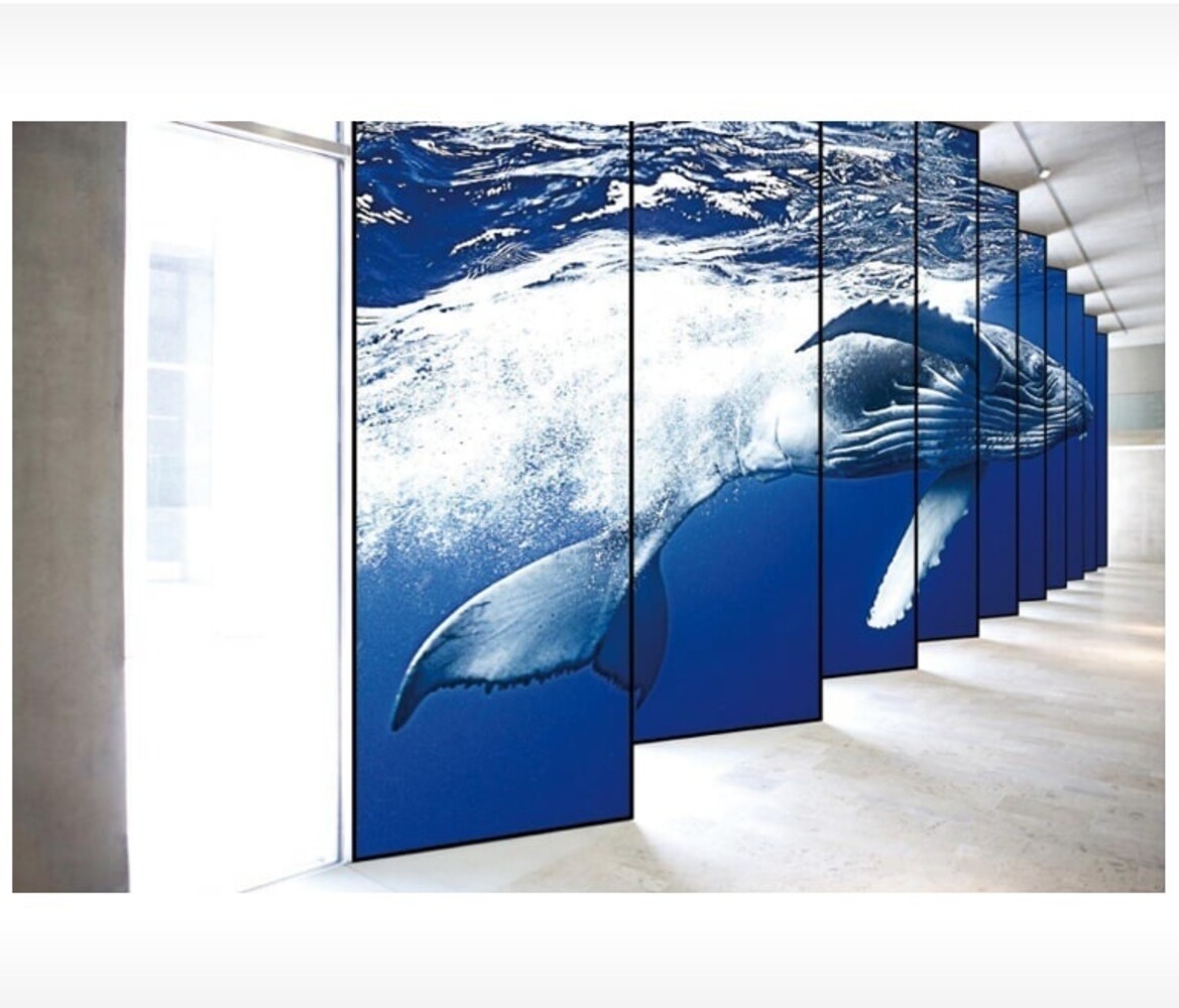 LG LG 88BH7F Ultra ruimtelijke breedbeeldscherm LG LG 88BH7F Ultra ruimtelijke breedbeeldscherm