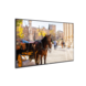 Vestel Vestel VB55B2 UHD 55 inch scherm Vestel Vestel VB55B2 UHD 55 inch scherm