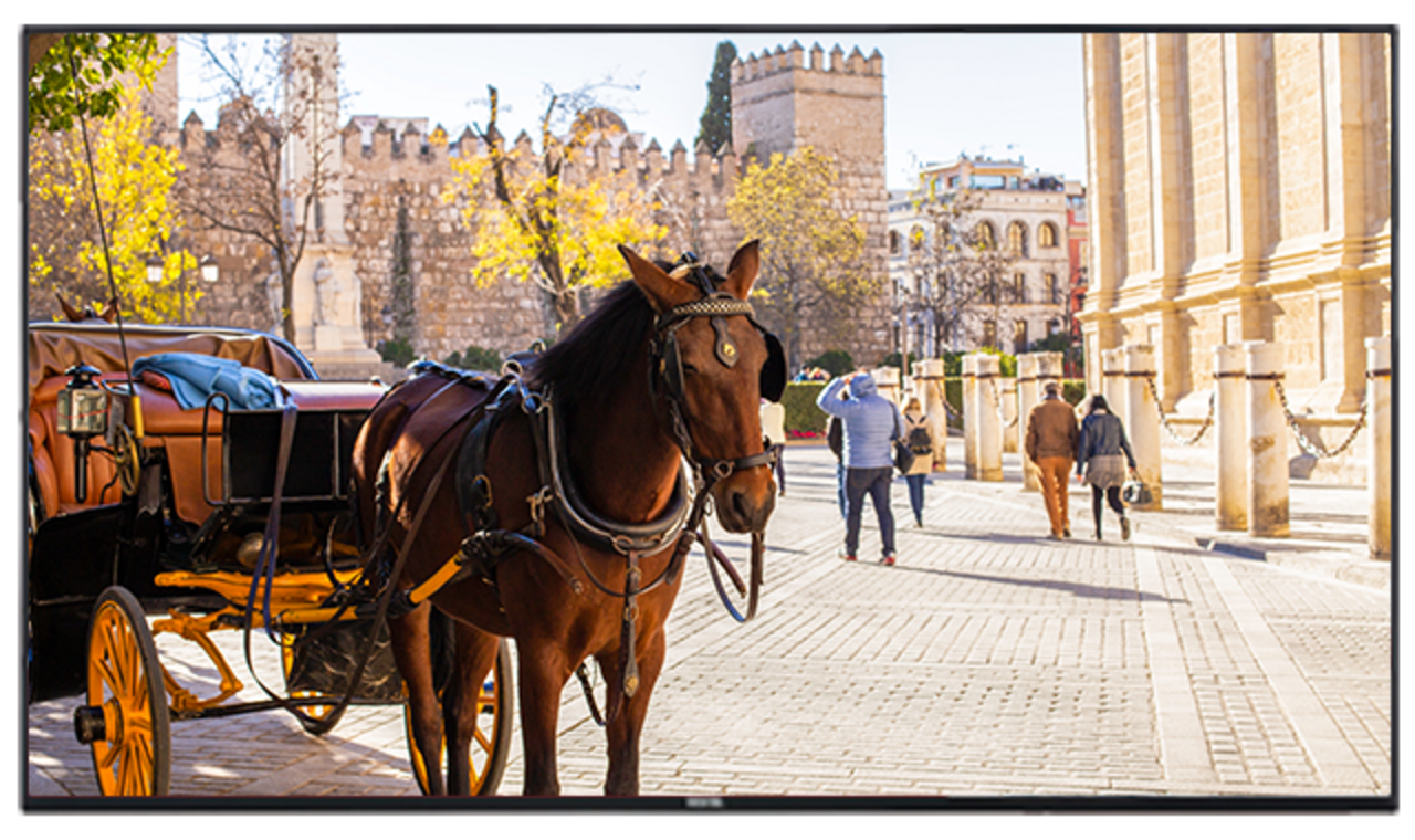 Vestel Vestel VB55B2 UHD 55 inch scherm Vestel Vestel VB55B2 UHD 55 inch scherm