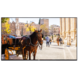 Vestel Vestel VB55B2 UHD 55 inch scherm Vestel Vestel VB55B2 UHD 55 inch scherm