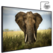 Vestel Vestel PEM49F356 Professional Edge-serie FHD 49 inch scherm Vestel Vestel PEM49F356 Professional Edge-serie FHD 49 inch scherm