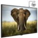 Vestel Vestel PDU75UF834 UHD 75 inch signage-display Vestel Vestel PDU75UF834 UHD 75 inch signage-display