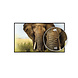 iiyama Iiyama LE5040UHS-B1 50" UHD LCD scherm iiyama Iiyama LE5040UHS-B1 50" UHD LCD scherm