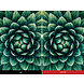 Viewsonic Viewsonic PG706HD Viewsonic Viewsonic PG706HD