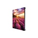 Samsung Samsung IF015H P1.5 LED-bewegwijzering Samsung Samsung IF015H P1.5 LED-bewegwijzering