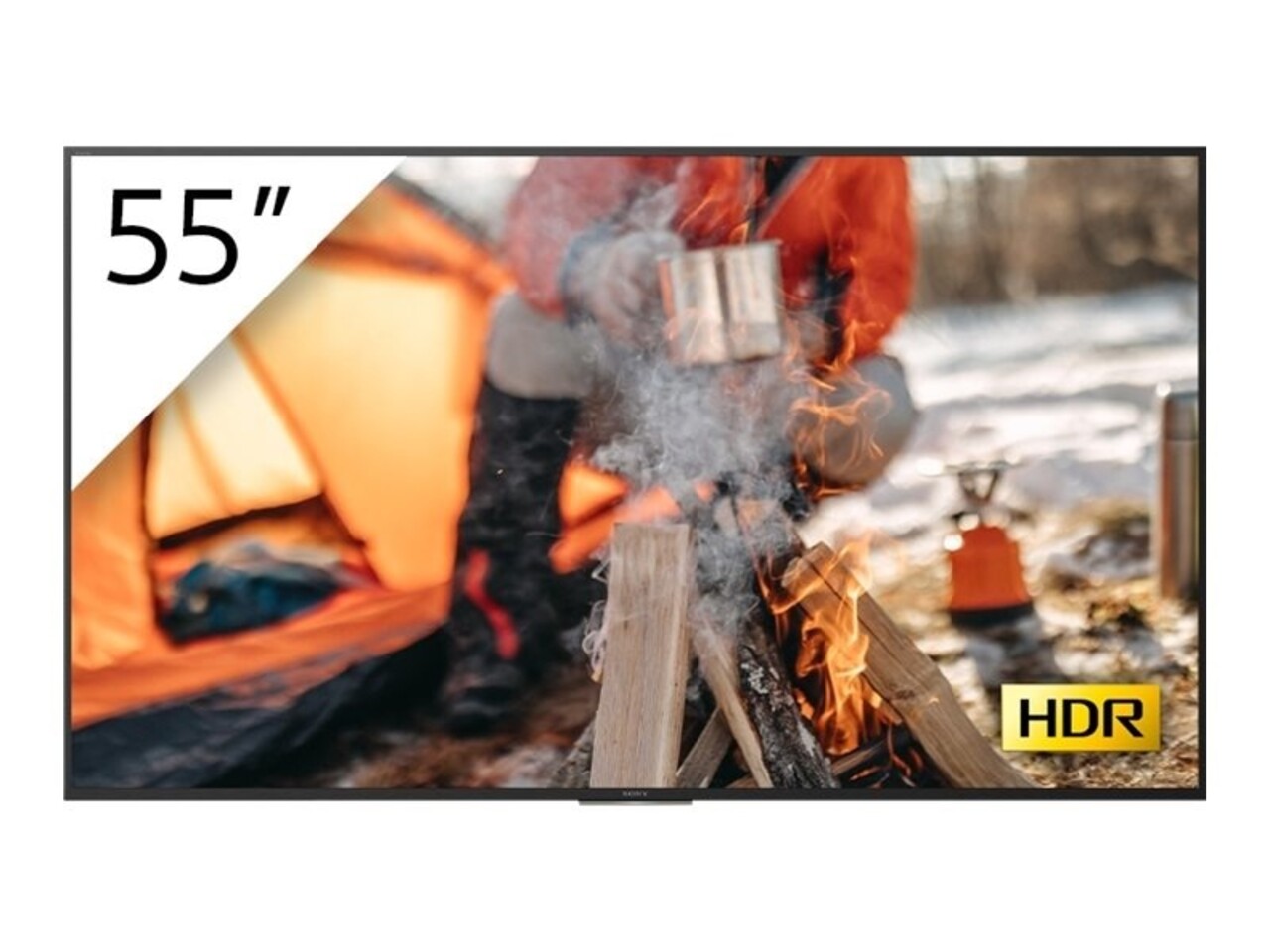 Sony Sony FWD-55X80H