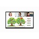 LG LG 55TC3D LG LG 55TC3D