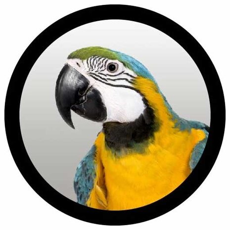 Derksen Derksen Gobo projectieplaat Derksen Derksen Gobo projectieplaat