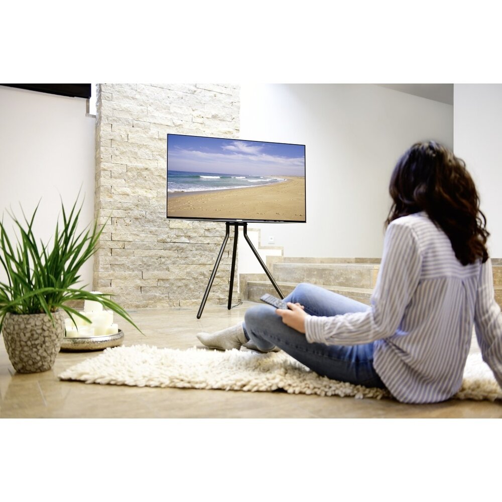 Hama Hama Tv-standaard "schildersezel-design" Hama Hama Tv-standaard "schildersezel-design"