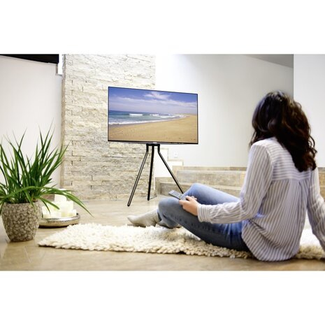 Hama Hama Tv-standaard "schildersezel-design" Hama Hama Tv-standaard "schildersezel-design"