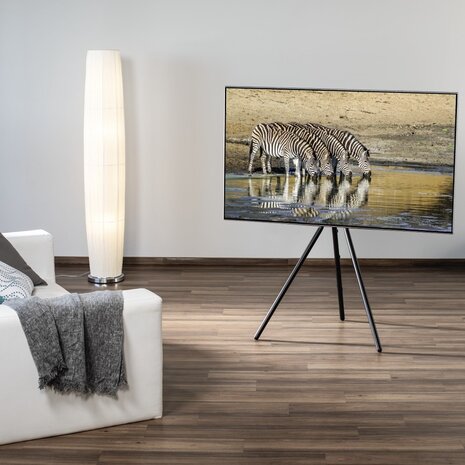 Hama Hama Tv-standaard "schildersezel-design" Hama Hama Tv-standaard "schildersezel-design"