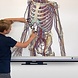 i3 Technologies i3BOARD 1006 T20 Duo interactief whiteboard i3 Technologies i3BOARD 1006 T20 Duo interactief whiteboard