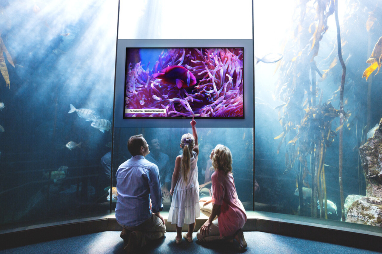 Philips Philips 55BDL4511D 55 inch FHD D-Line-display Philips Philips 55BDL4511D 55 inch FHD D-Line-display