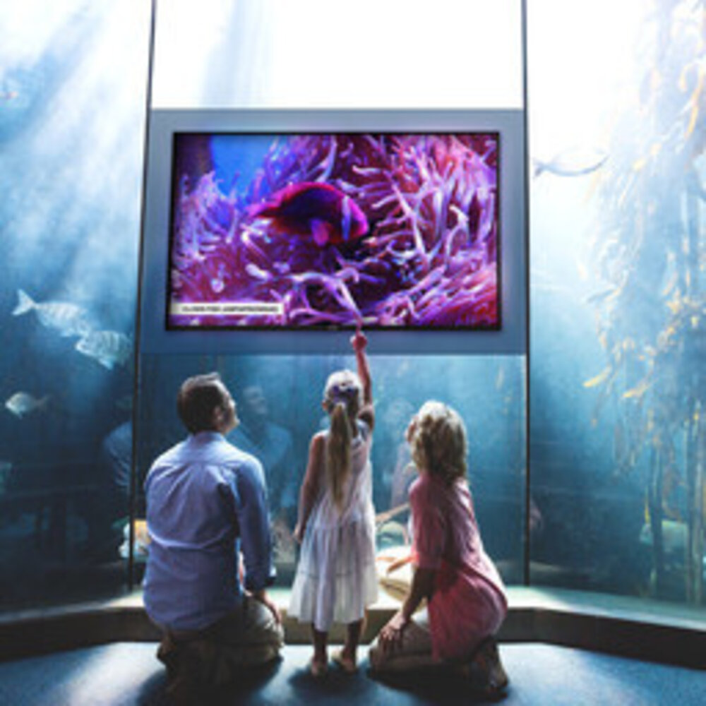 Philips Philips 75BDL4511D 4K D-Line-scherm Philips Philips 75BDL4511D 4K D-Line-scherm