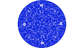 GoboService Gobo projectieplaat diverse thema GoboService Gobo projectieplaat diverse thema