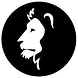 GoboService Gobo projectieplaat Thema nacht GoboService Gobo projectieplaat Thema nacht